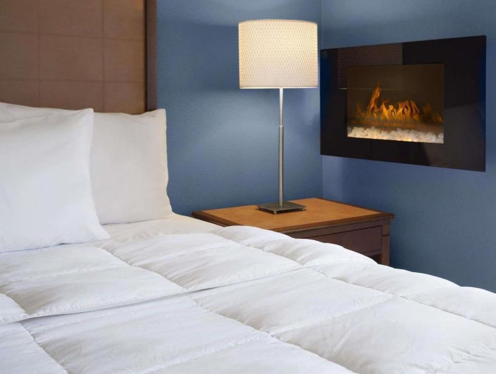 Days Inn By Wyndham Lacey Olympia Area Ngoại thất bức ảnh